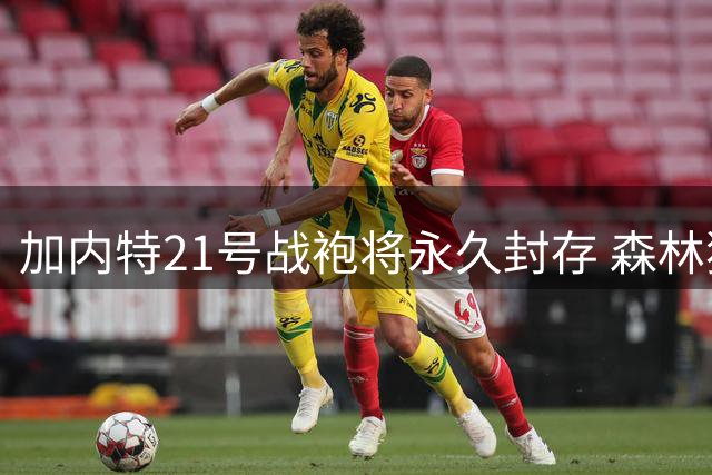 加内特21号战袍将永久封存 森林狼官宣球衣退役日期